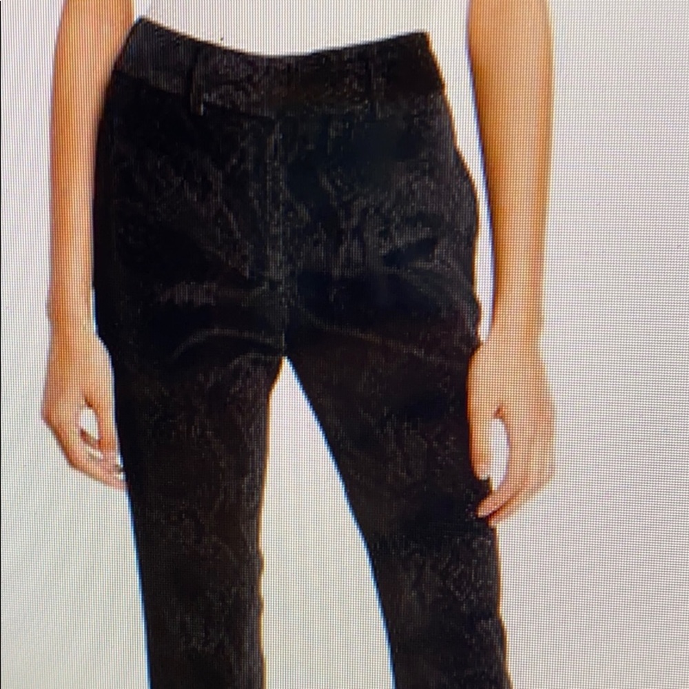 Frame Perfect Burnout velvet  black TrouserPython Noir